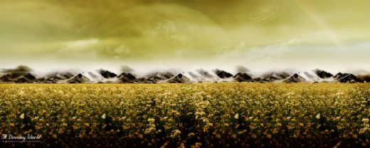 446449 (a): :2560x1024